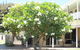 Kalbarri Riverfront Unit - thumb 6