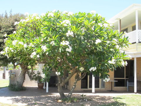 Kalbarri Riverfront Unit - Gold Coast 4U 6
