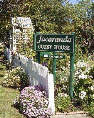 Jacaranda Guest House - Accommodation Gold Coast 43