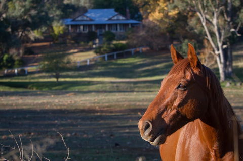 Historic Oakhill House Entire Estate - Gold Coast 4U 9