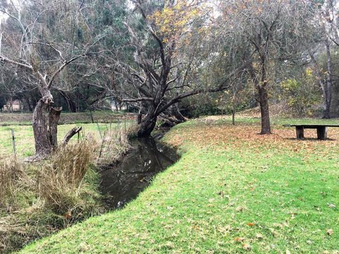 Historic Oakhill House Entire Estate - Gold Coast 4U 18