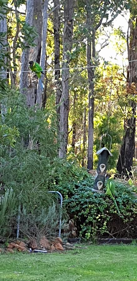 Di's Cabin In Dwellingup - Accommodation Gold Coast 6