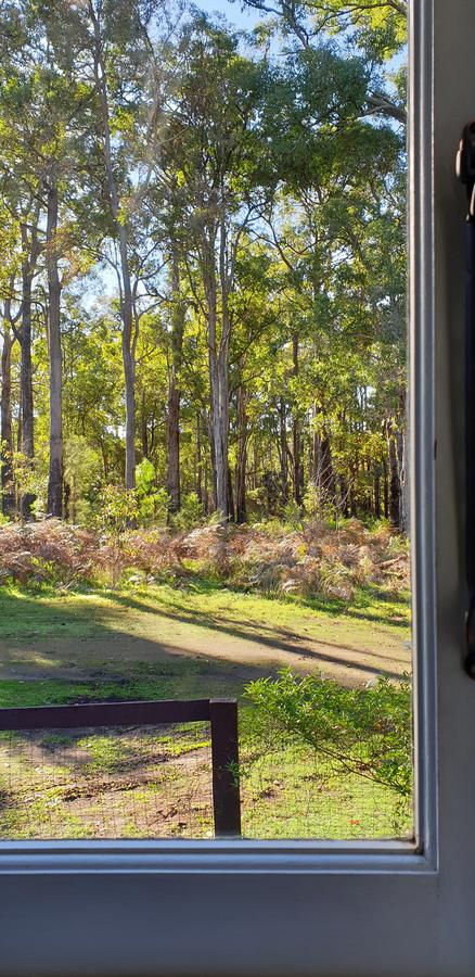 Di's Cabin In Dwellingup - Accommodation Gold Coast 2