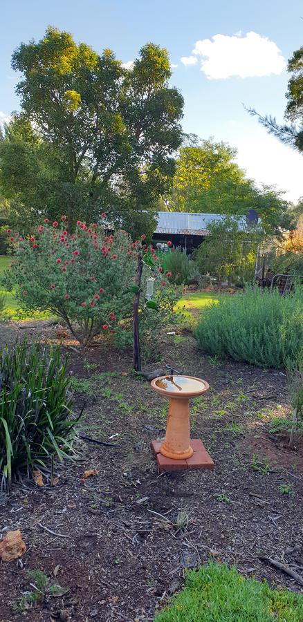 Di's Cabin In Dwellingup - Accommodation Gold Coast 14