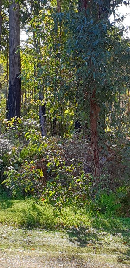 Di's Cabin In Dwellingup - Accommodation Gold Coast 8