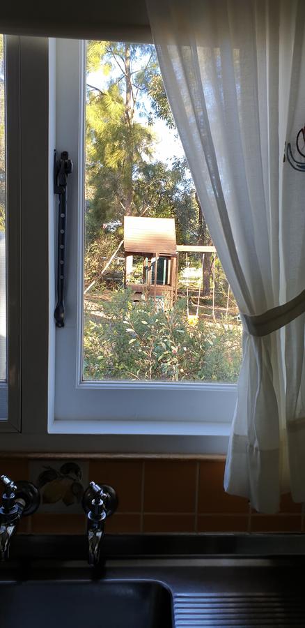 Di's Cabin In Dwellingup - Accommodation Gold Coast 15