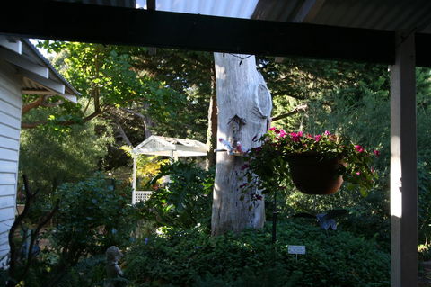 Rosebridge House Bed & Breakfast Adult Retreat - Accommodation Gold Coast 36