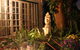 Rosebridge House Bed & Breakfast Adult Retreat - thumb 21