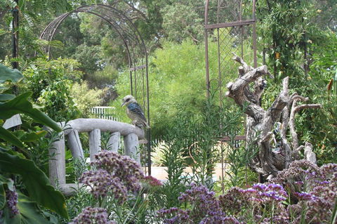 Rosebridge House Bed & Breakfast Adult Retreat - Accommodation Gold Coast 12