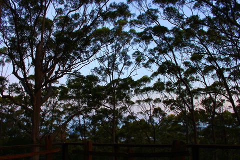 Ark Of Denmark - Accommodation Gold Coast 27