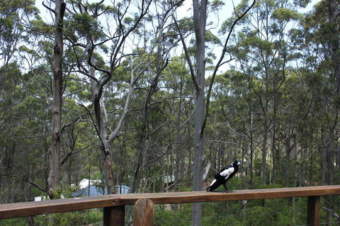Ark Of Denmark - Accommodation Gold Coast 11