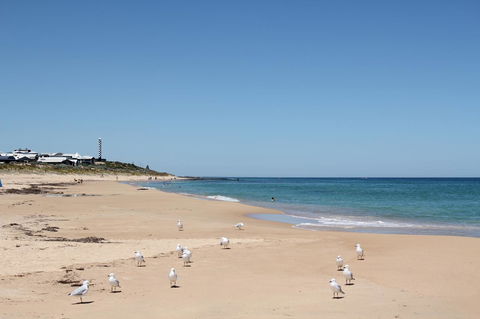 Bluebird Cottage - Gold Coast 4U 40