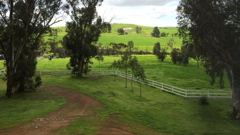 Daisy Cottage - Accommodation Gold Coast 22