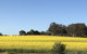 Daisy Cottage - thumb 6