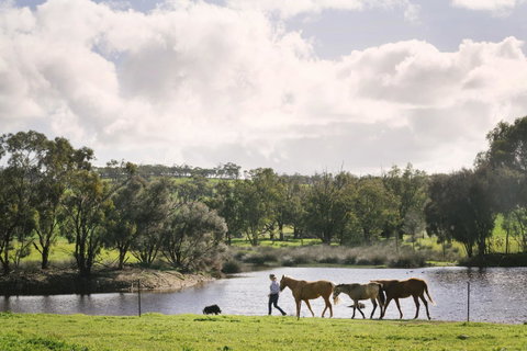 Daisy Cottage - Accommodation Gold Coast 28