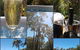 Jarrah Grove Forest Retreat - thumb 27