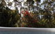 Jarrah Grove Forest Retreat - thumb 13