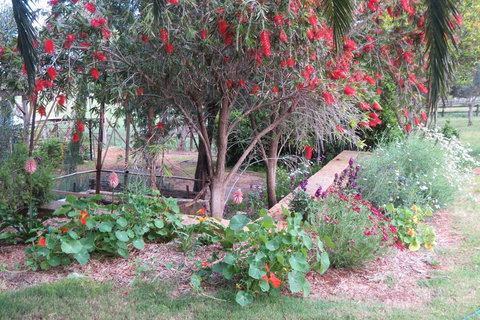 Bentwood Olive Grove Accommodation - Accommodation Gold Coast 21