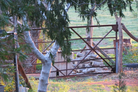 Bentwood Olive Grove Accommodation - Accommodation Gold Coast 25