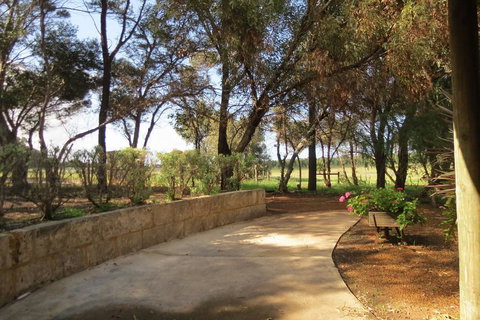 Bentwood Olive Grove Accommodation - Accommodation Gold Coast 2