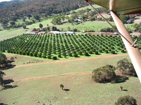 Bindoon's Windmill Farm - Accommodation Gold Coast 3