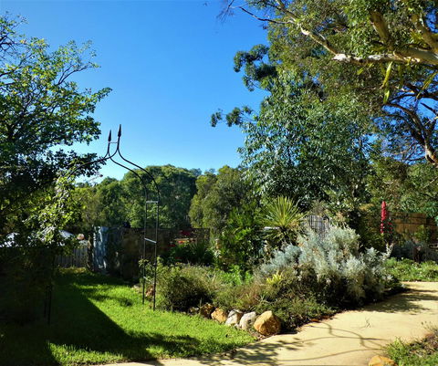 Treetops Cottage - Accommodation Gold Coast 14