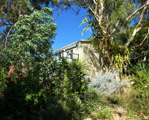 Treetops Cottage - Accommodation Gold Coast 13