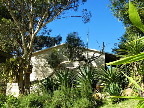 Treetops Cottage - Accommodation Gold Coast 4