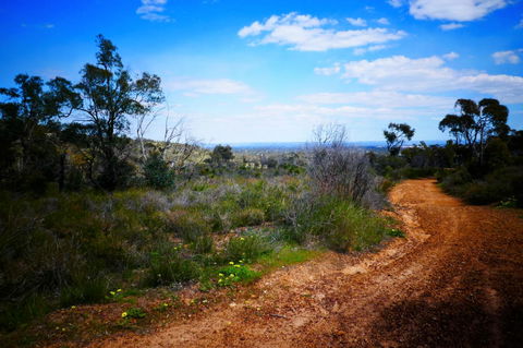 Treetops Cottage - Accommodation Gold Coast 35