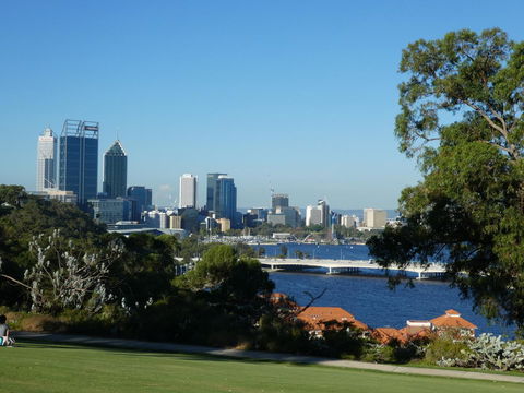 Treetops Cottage - Accommodation Gold Coast 37