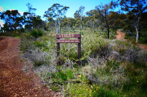 Treetops Cottage - Accommodation Gold Coast 34