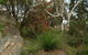 Treetops Cottage - thumb 26