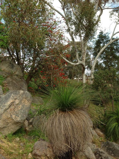 Treetops Cottage - Accommodation Gold Coast 26