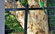 Treetops Cottage - thumb 27