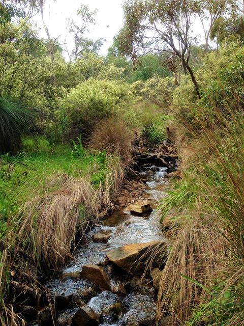 Treetops Cottage - Accommodation Gold Coast 22