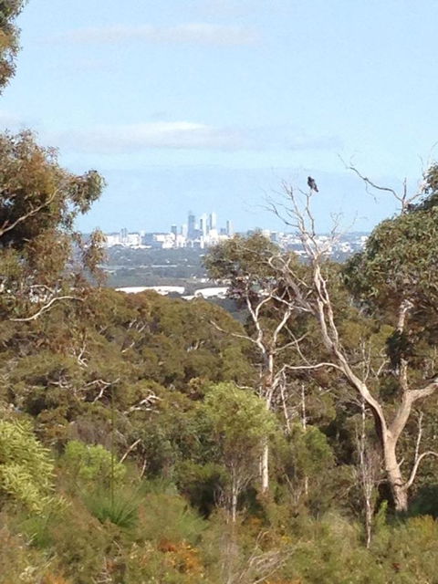 Treetops Cottage - Accommodation Gold Coast 38