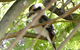 Treetops Cottage - thumb 32