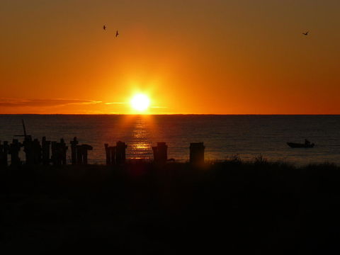 Jurien Bay Tourist Park - Gold Coast 4U 28
