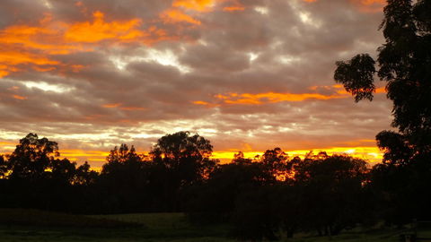 Windfall Estate Vineyard Cottage - Gold Coast 4U 32