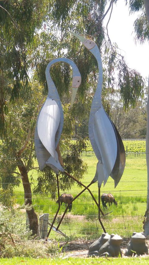 Windfall Estate Vineyard Cottage - Gold Coast 4U 31