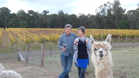 Windfall Estate Vineyard Cottage - Gold Coast 4U 11
