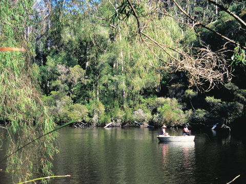 The Pemberton Hotel - Accommodation Gold Coast 39