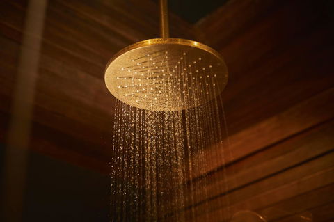 The Premier Mill Hotel - Accommodation Gold Coast 10