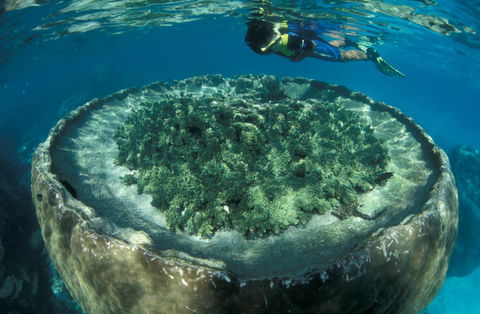 Sal Salis Ningaloo Reef - Gold Coast 4U 8