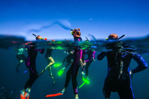Sal Salis Ningaloo Reef - Gold Coast 4U 26