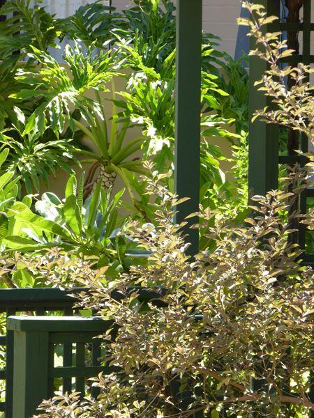 Kalbarri Beach Resort - Accommodation Gold Coast 32