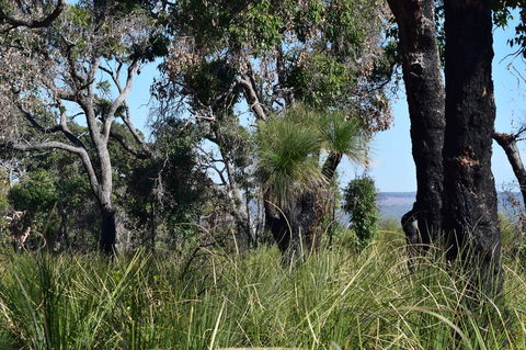Eagle Bay House - Accommodation Gold Coast 32