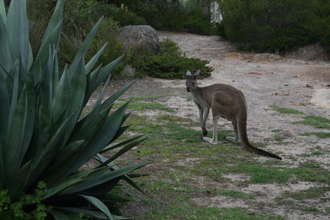Aqua Views - 1 Gold Coast 15