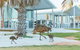 RAC Monkey Mia Dolphin Resort - thumb 15