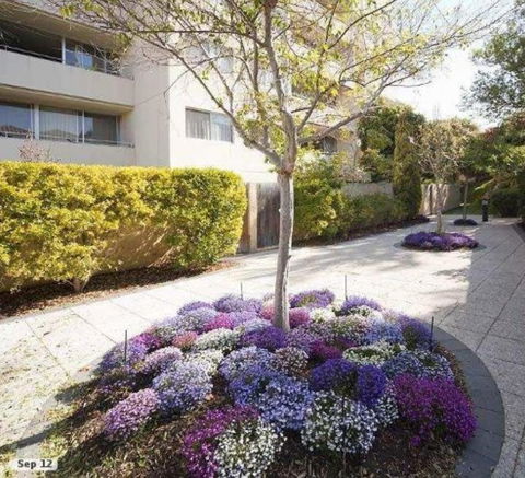 Retro Central Claremont Oasis - Accommodation Gold Coast 0
